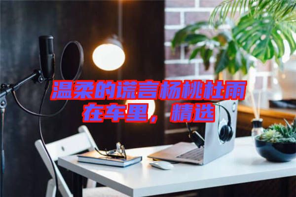 溫柔的謊言楊桃杜雨在車?yán)?，精選