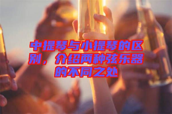 中提琴與小提琴的區(qū)別，介紹兩種弦樂器的不同之處